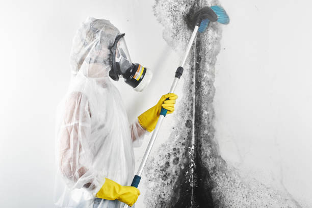 Best Indoor Air Quality Assessment  in Carolina Forest, SC
