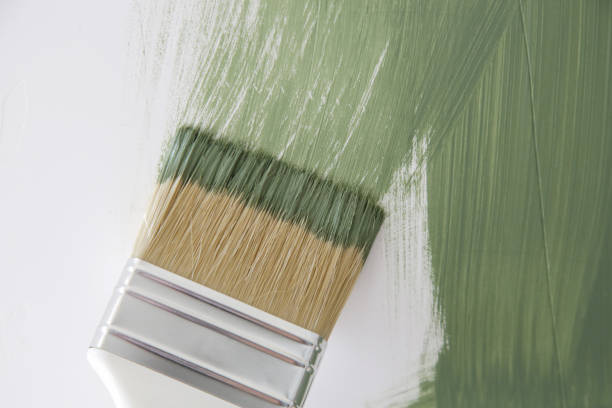 Best Mold Damage Restoration  in Carolina Forest, SC