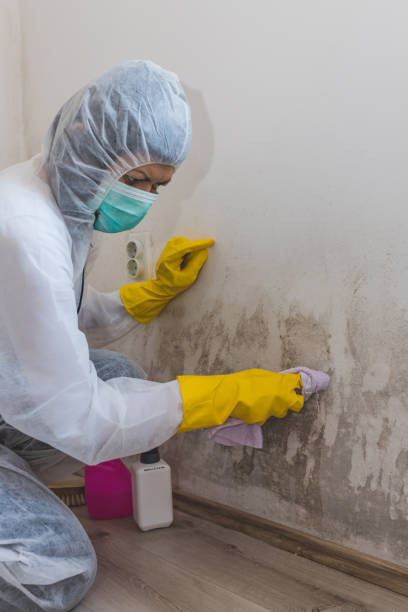 Best Industrial Mold Remediation  in Carolina Forest, SC