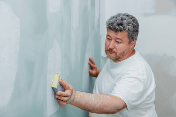 Best Comprehensive Air Testing for Mold Contaminants  in Carolina Forest, SC