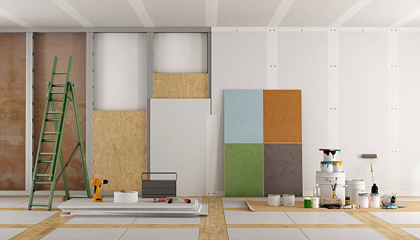 Best Basement Mold Removal  in Carolina Forest, SC