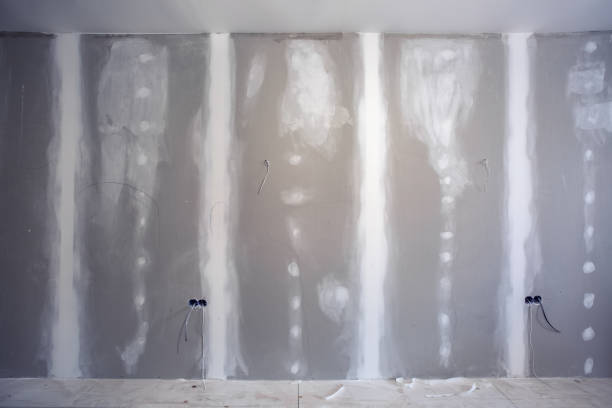 Best Mold Odor Removal Services  in Carolina Forest, SC
